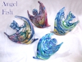 Angel fish 2013