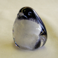 Baby Penguin