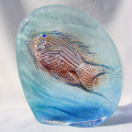 Medium fish Plaque