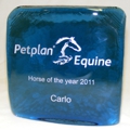 The PetPlan 2011 Award